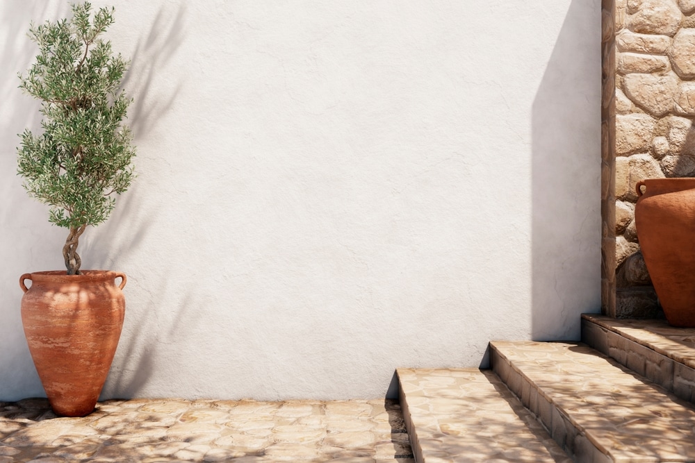 Olivier en pot et mur blanc : décor méditerranéen serein Olivier en pot terre cuite devant un mur blanc texturé et des marches en pierre, ambiance méditerranéenne ensoleillée.